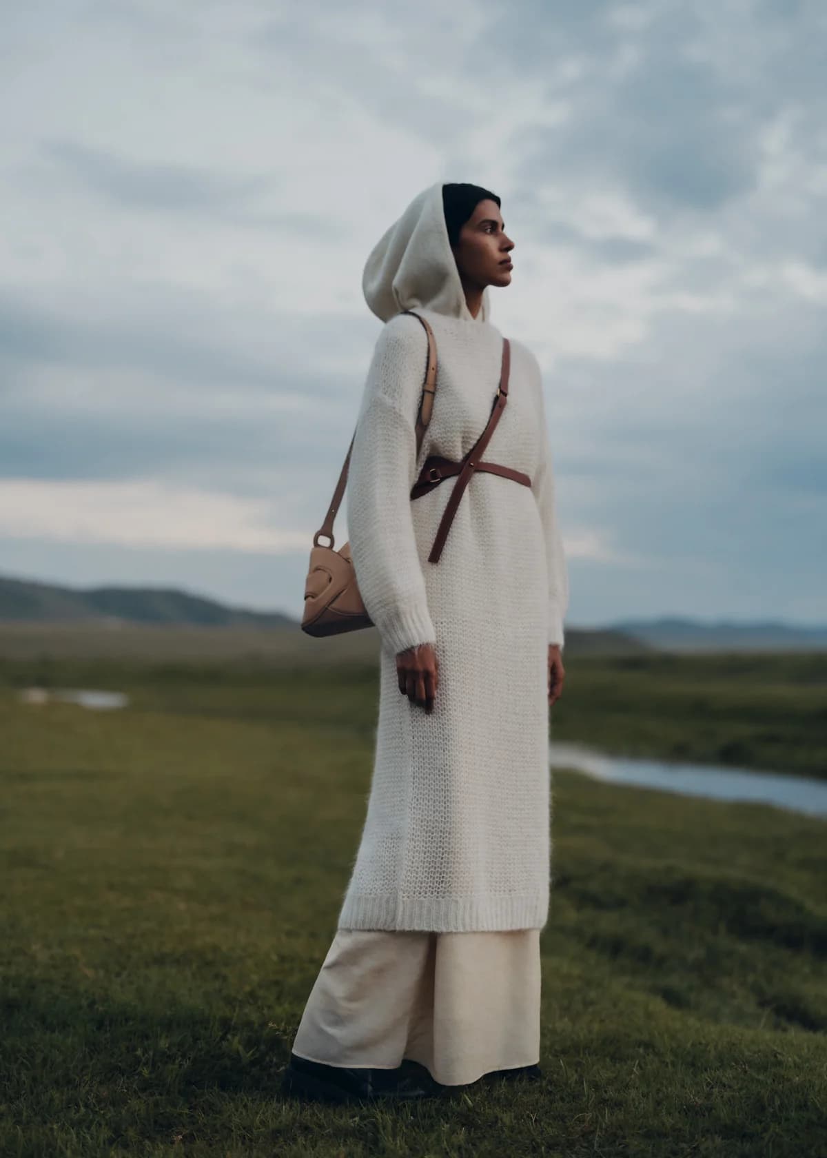 Polène Bag NODDE — Grained Walnut