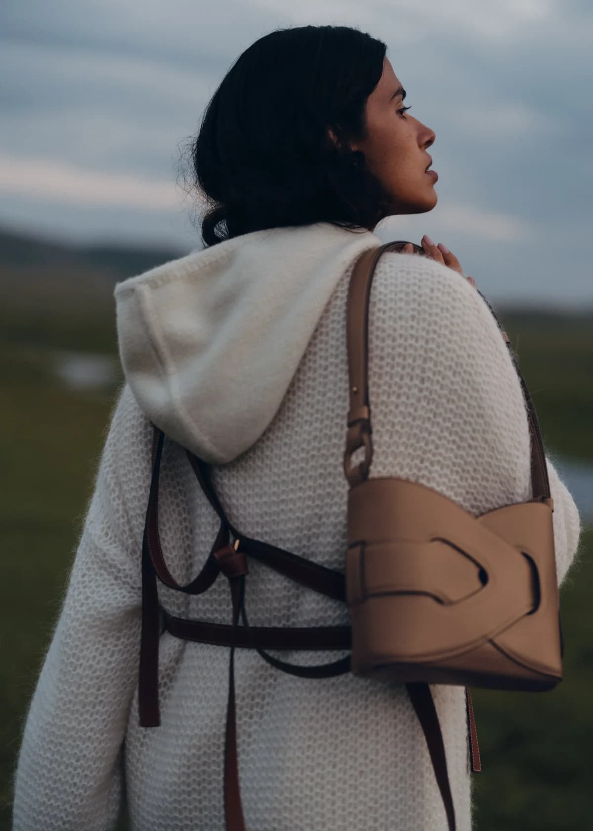 Polène Bag NODDE — Grained Walnut
